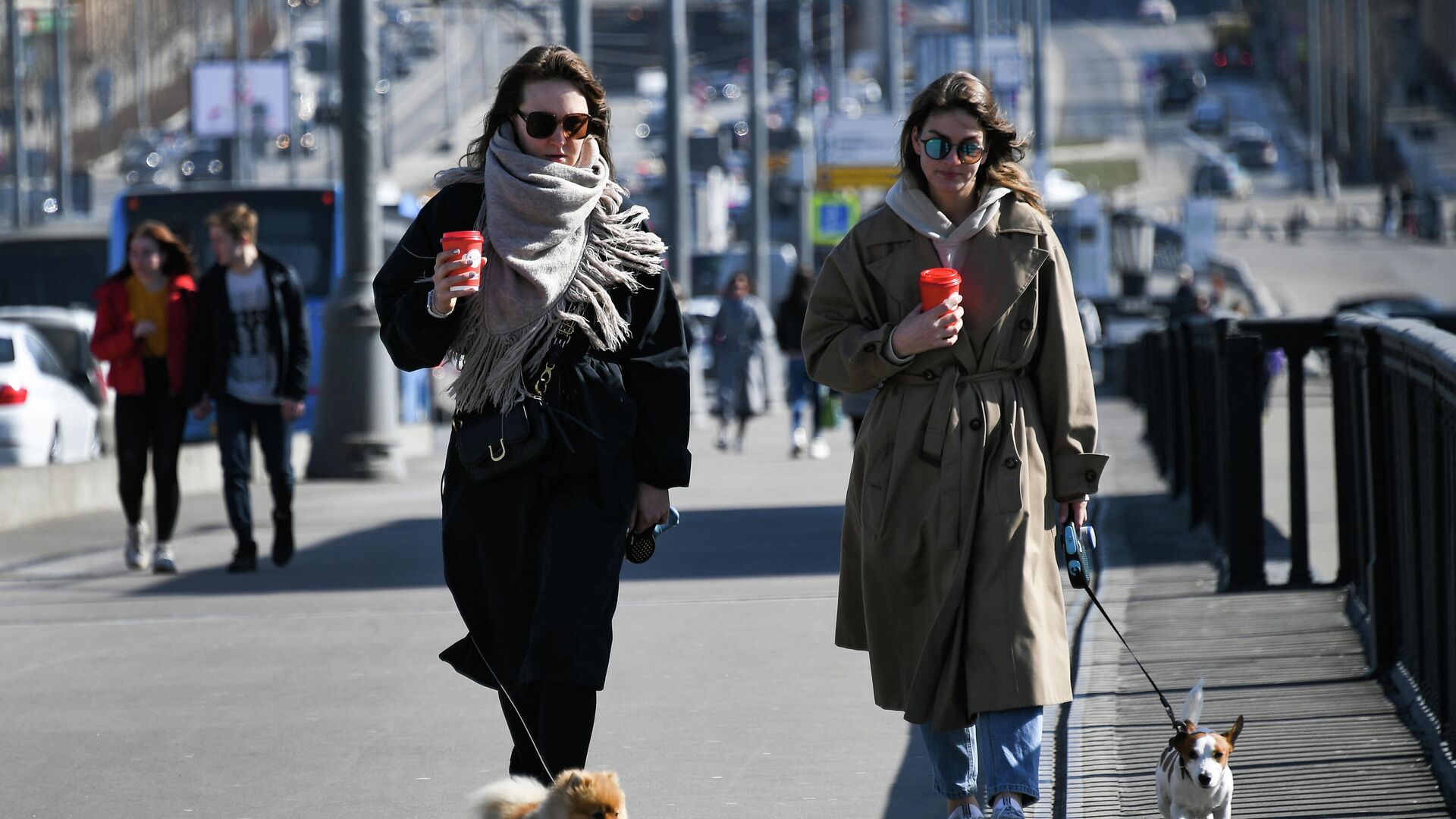 Девушки с собаками на улице в Москве - РИА Новости, 1920, 10.03.2021