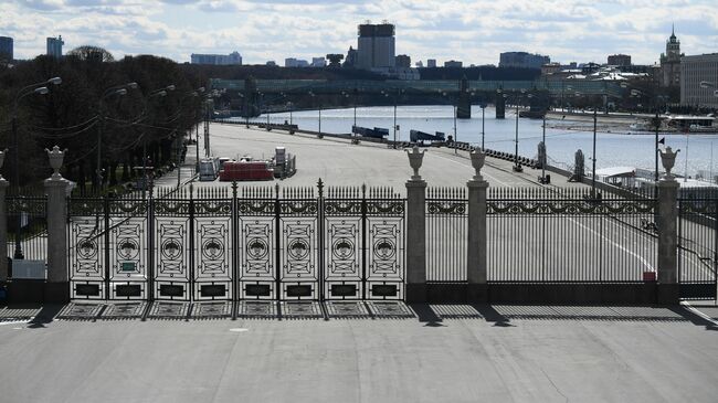 Вид с Крымского моста на территорию ЦПКиО имени М. Горького