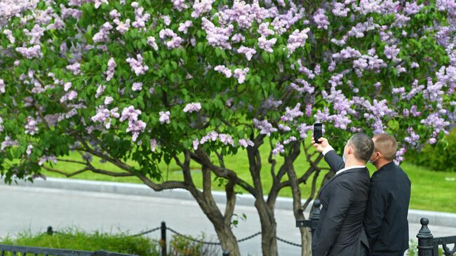 Мужчины фотографируются в Александровском саду в Москве