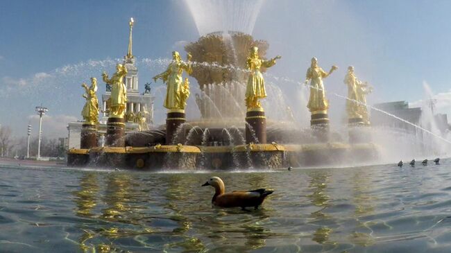 Фонтан Дружба народов на ВДНХ в Москве