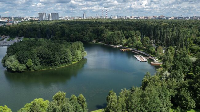 Серебряно-Виноградный пруд в парке Измайлово.