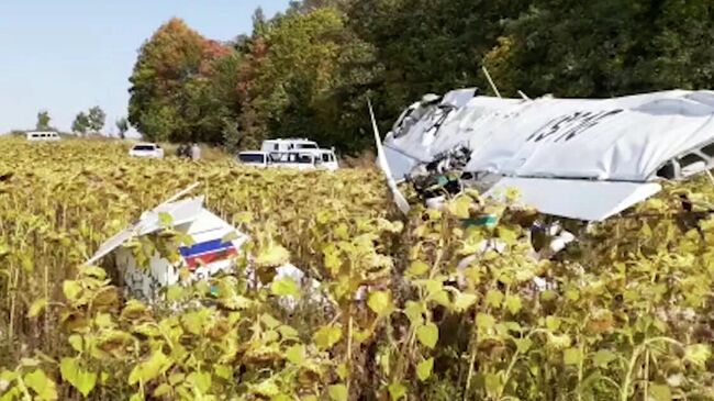 Легкомоторный самолет совершил жесткую посадку в Ульяновской области