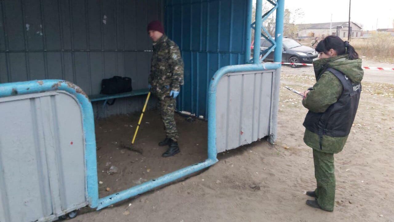 Следователи на месте стрельбы в поселке Большеорловское Нижегородской области - РИА Новости, 1920, 15.10.2020