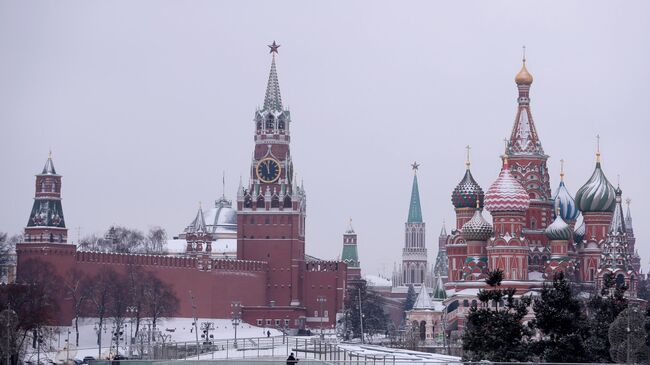 Вид из парка Зарядье на Покровский собор и Спасскую башню Московского Кремля