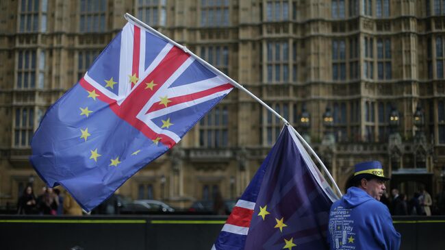 Участник акции протеста против Brexit в Лондоне