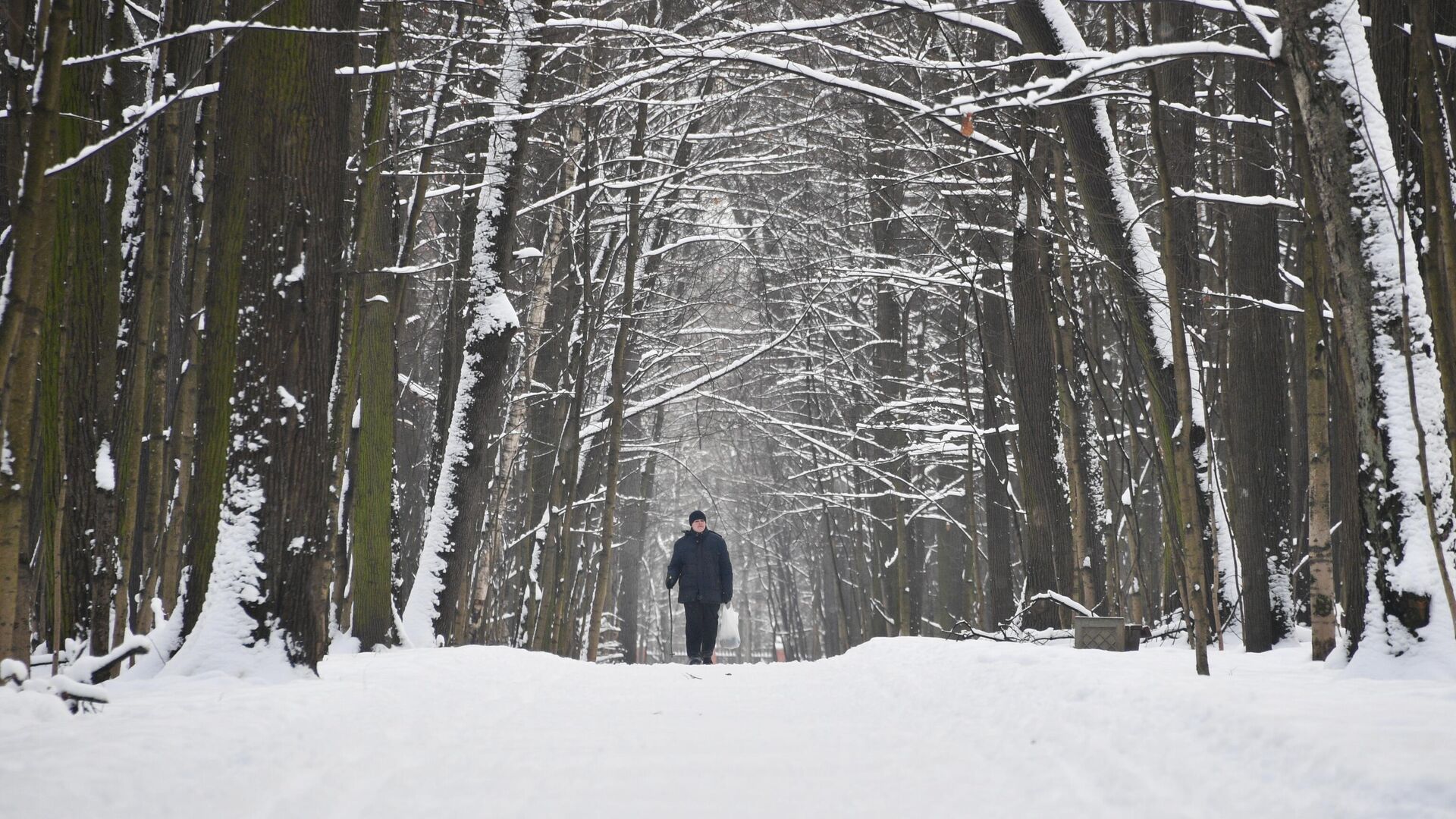 Мужчина в Измайловском парке в Москве. - РИА Новости, 1920, 09.12.2021