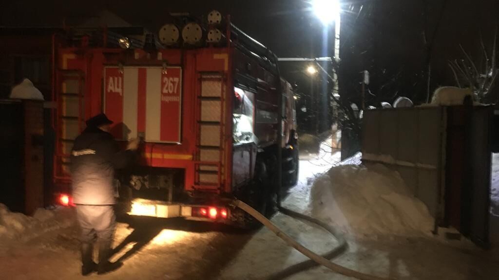 Сотрудники МЧС на месте пожара в деревне Лугинино Московской области - РИА Новости, 1920, 24.02.2021