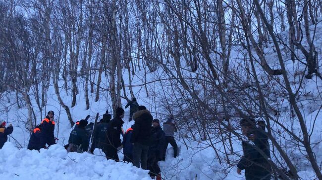 Сотрудники МЧС на месте схода лавины на Камчатке