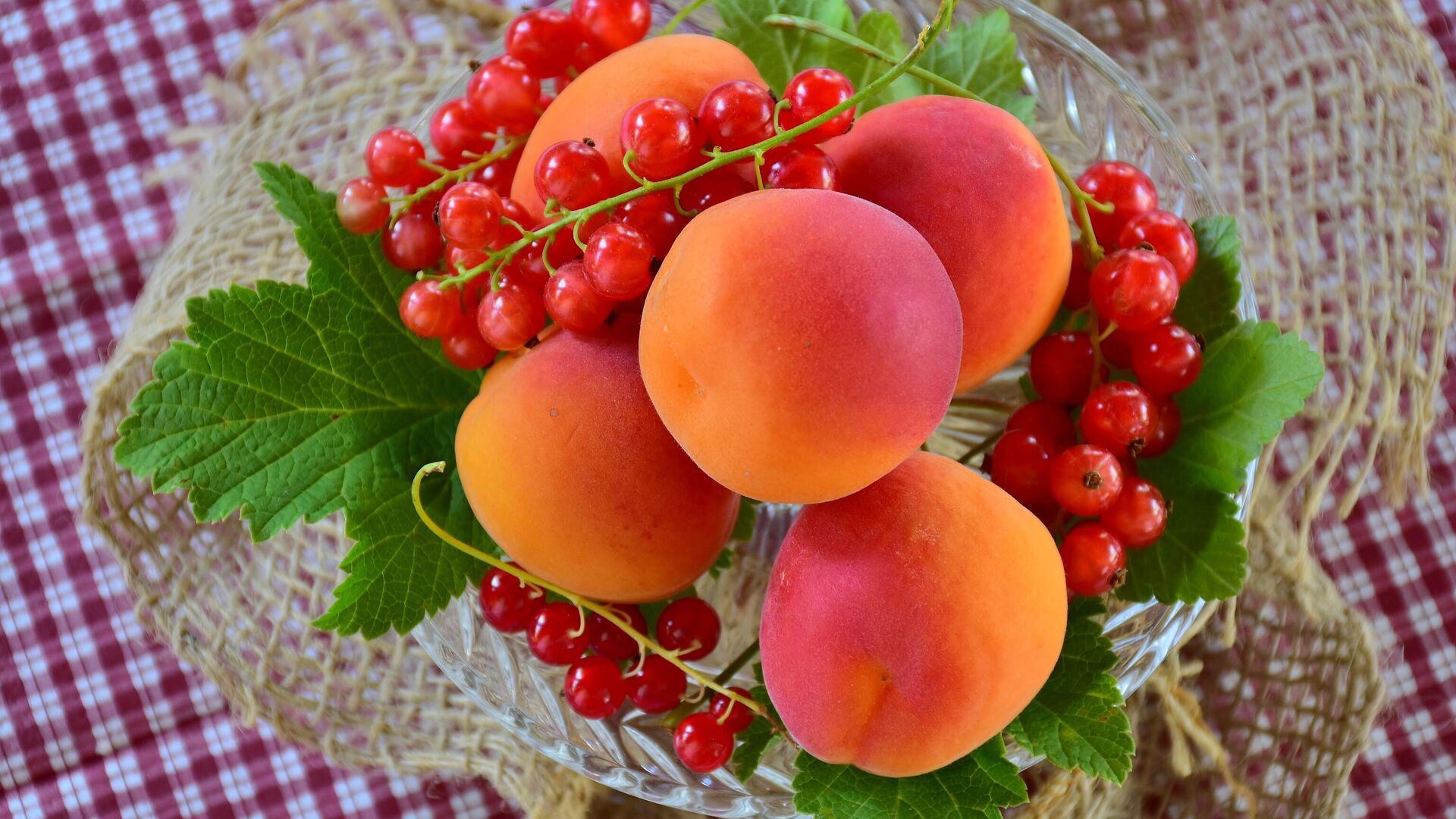 Смородина и абрикосы - РИА Новости, 1920, 25.05.2025