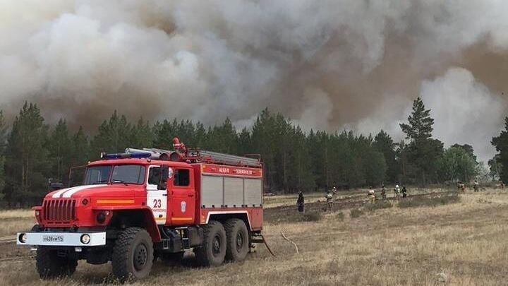 Сотрудники МЧС во время тушения лесного пожара в Челябинской области - РИА Новости, 1920, 10.07.2021