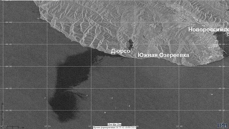 Разлив нефти у Новороссийска. Спутниковая съемка Института космических исследований РАН - РИА Новости, 1920, 11.08.2021