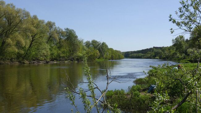 Прибрежная рекреационная зона Косино в Рузском городском округе