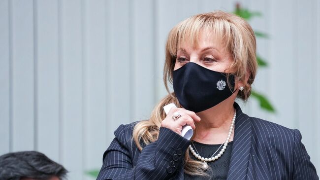Председатель Центральной избирательной комиссии РФ Элла Памфилова во время открытого тестового голосования в ЦИК России