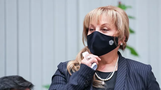 Председатель Центральной избирательной комиссии РФ Элла Памфилова во время открытого тестового голосования в ЦИК России