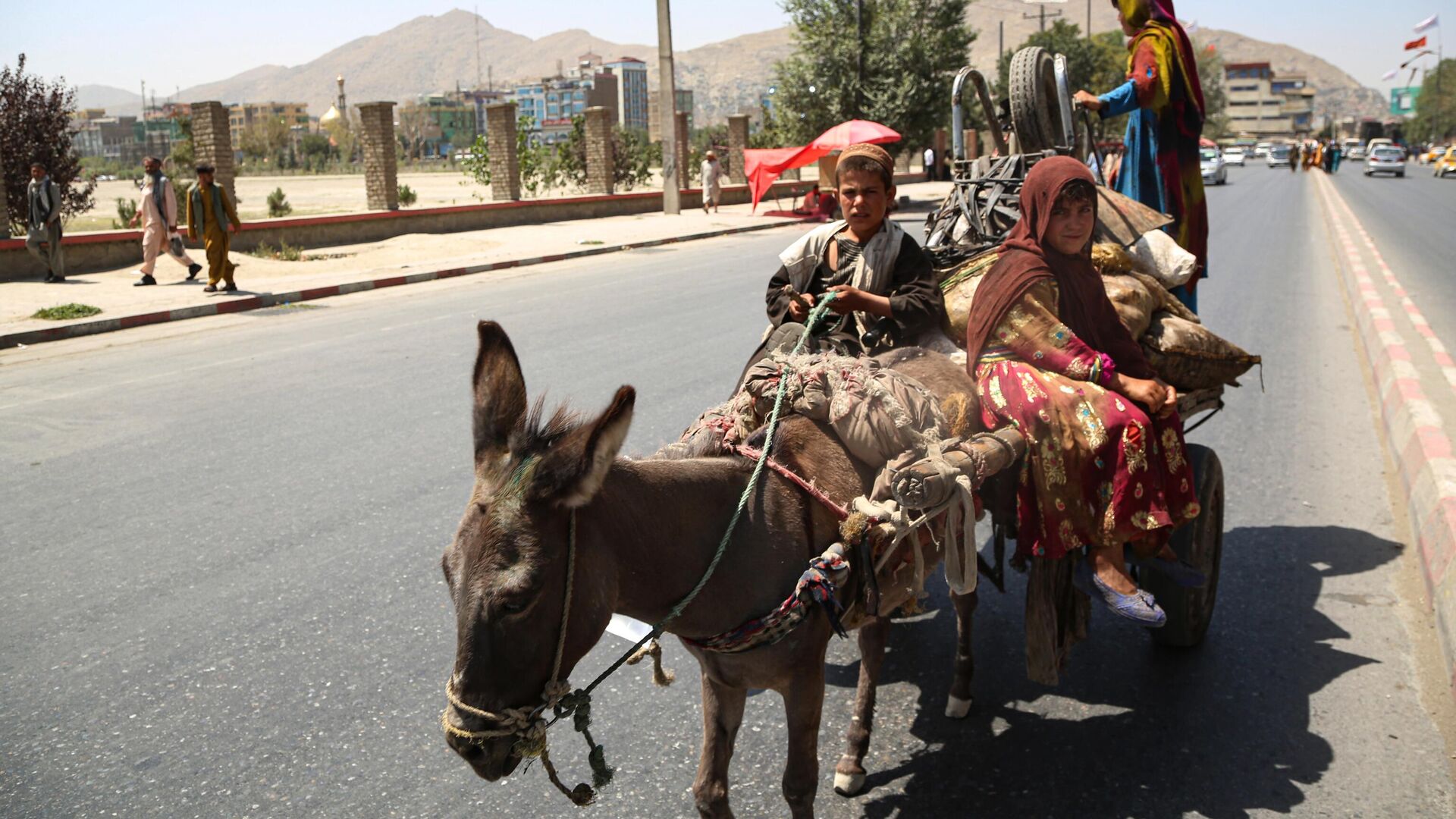 Местные жители едут на повозке по улице в Кабуле - РИА Новости, 1920, 02.01.2022