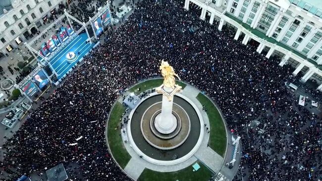 Сторонники партии Грузинская мечта на акции в Тбилиси. Архивное фото