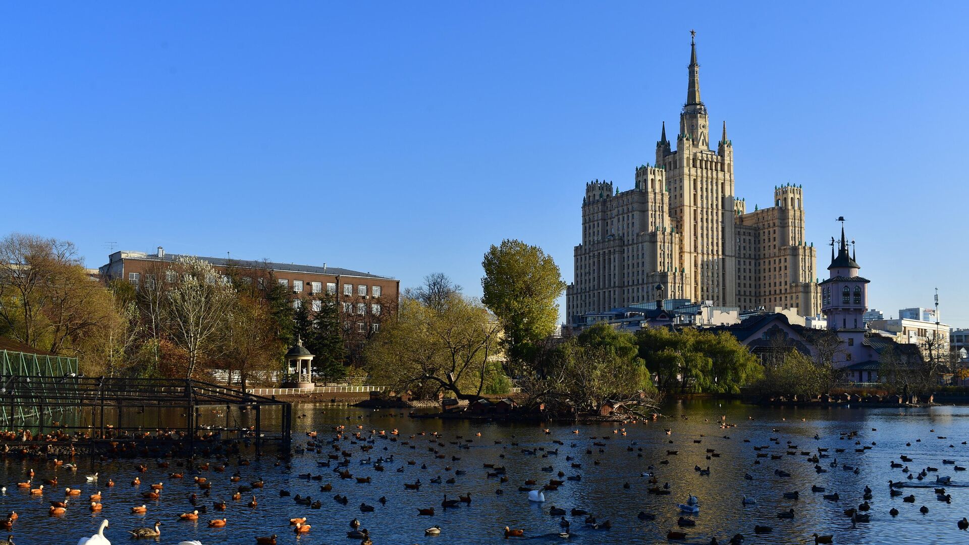 Птицы в Московском зоопарке - РИА Новости, 1920, 11.03.2023