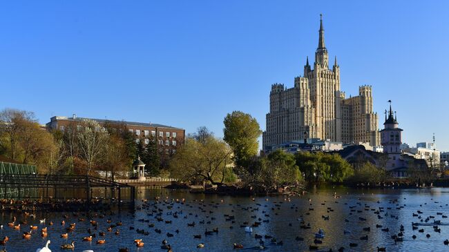 Птицы в Московском зоопарке