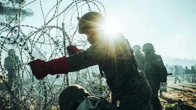 Польские военные на границе Польши и Белоруссии