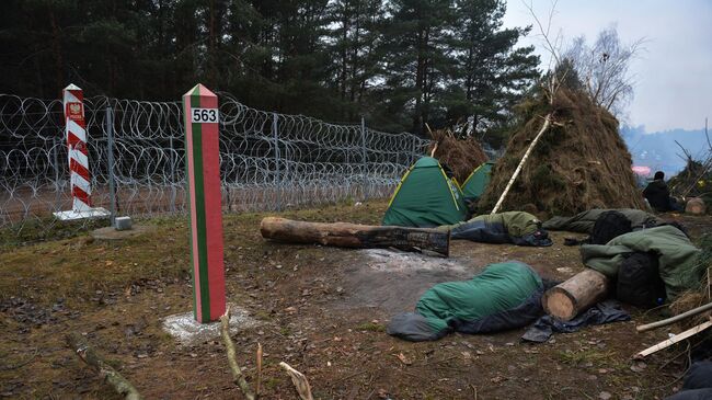 Палаточный лагерь нелегальных мигрантов возле заграждения из колючей проволоки на белорусско-польской границе