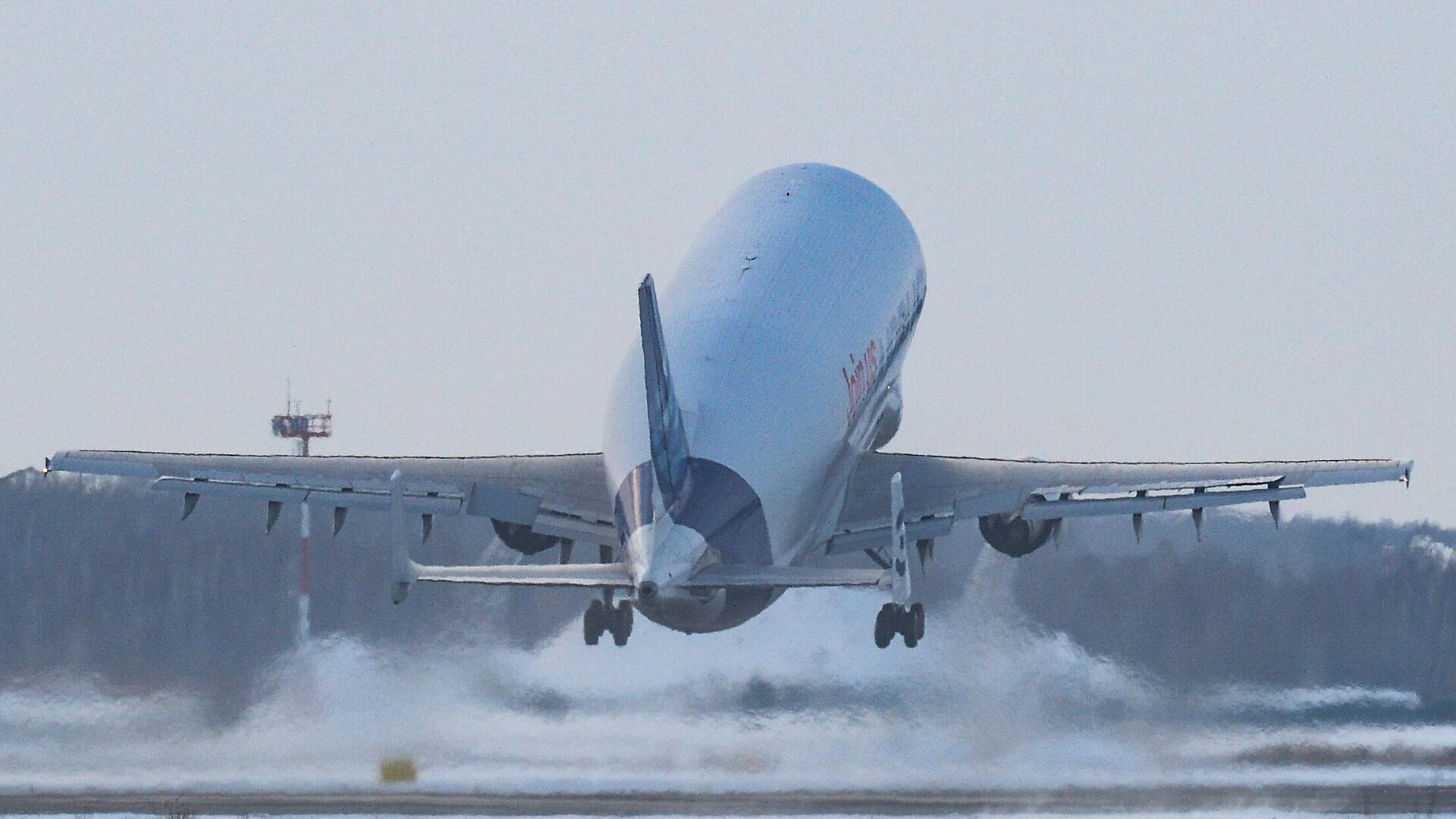 Широкофюзеляжный реактивный грузовой самолёт Airbus Beluga для транспортировки крупногабаритных грузов - РИА Новости, 1920, 18.01.2022