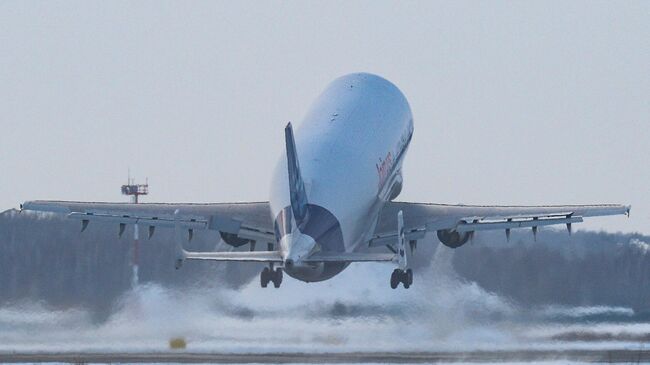 Широкофюзеляжный реактивный грузовой самолёт Airbus Beluga для транспортировки крупногабаритных грузов