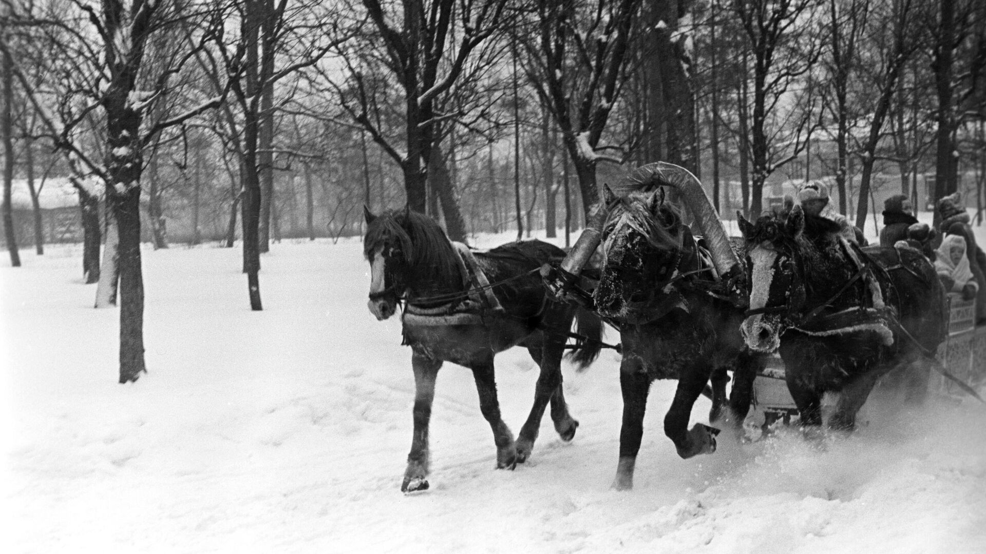 Катание на русских тройках в московском парке Сокольники - РИА Новости, 1920, 05.04.2022