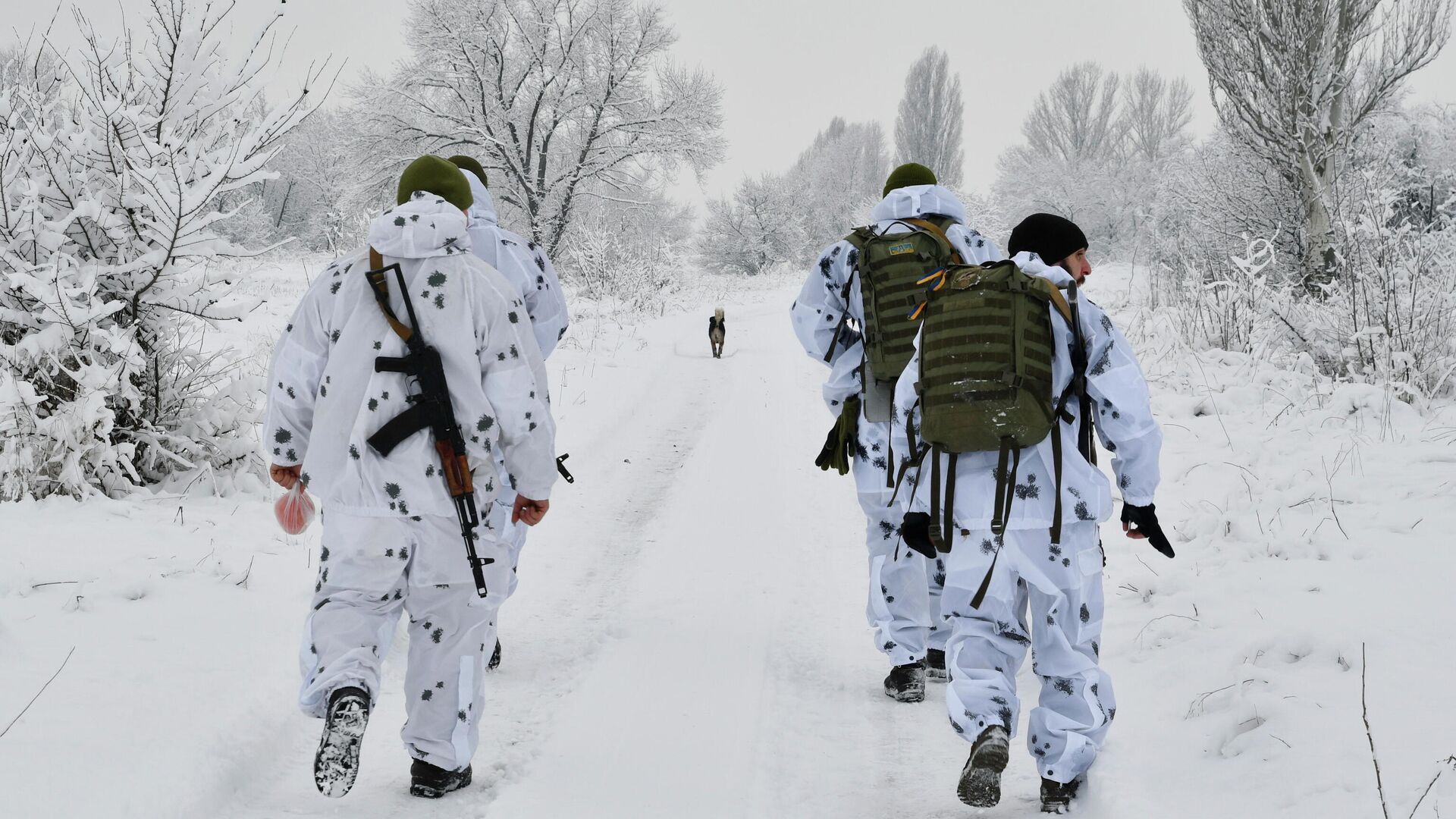 Украинские военные на линии соприкосновения в Донецкой области - РИА Новости, 1920, 21.01.2022