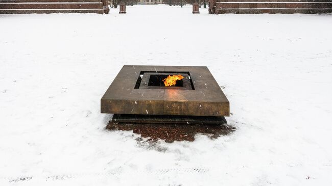 Вечный огонь на Марсовом поле в Санкт-Петербурге