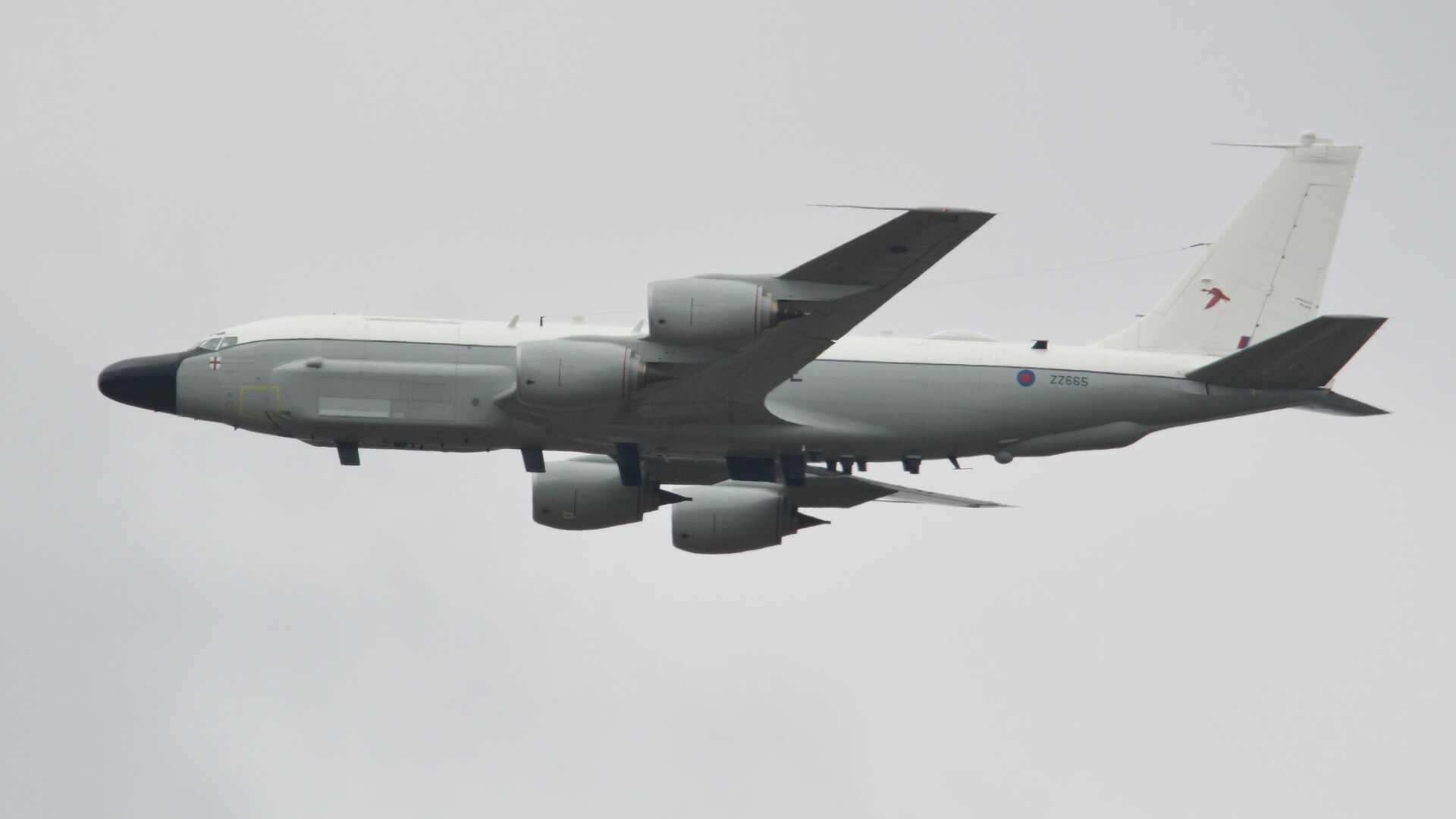 Самолет-разведчик RC-135W Rivet Joint Королевских ВВС Великобритании с бортовым номером ZZ665 - РИА Новости, 1920, 25.01.2022