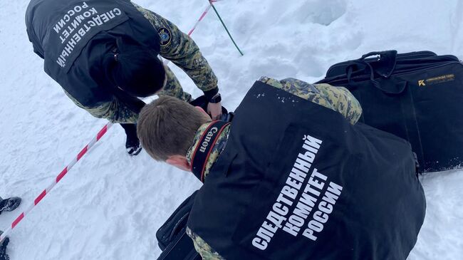 Следователи на месте падения наледи на женщину с ребенком в Великом Новгороде