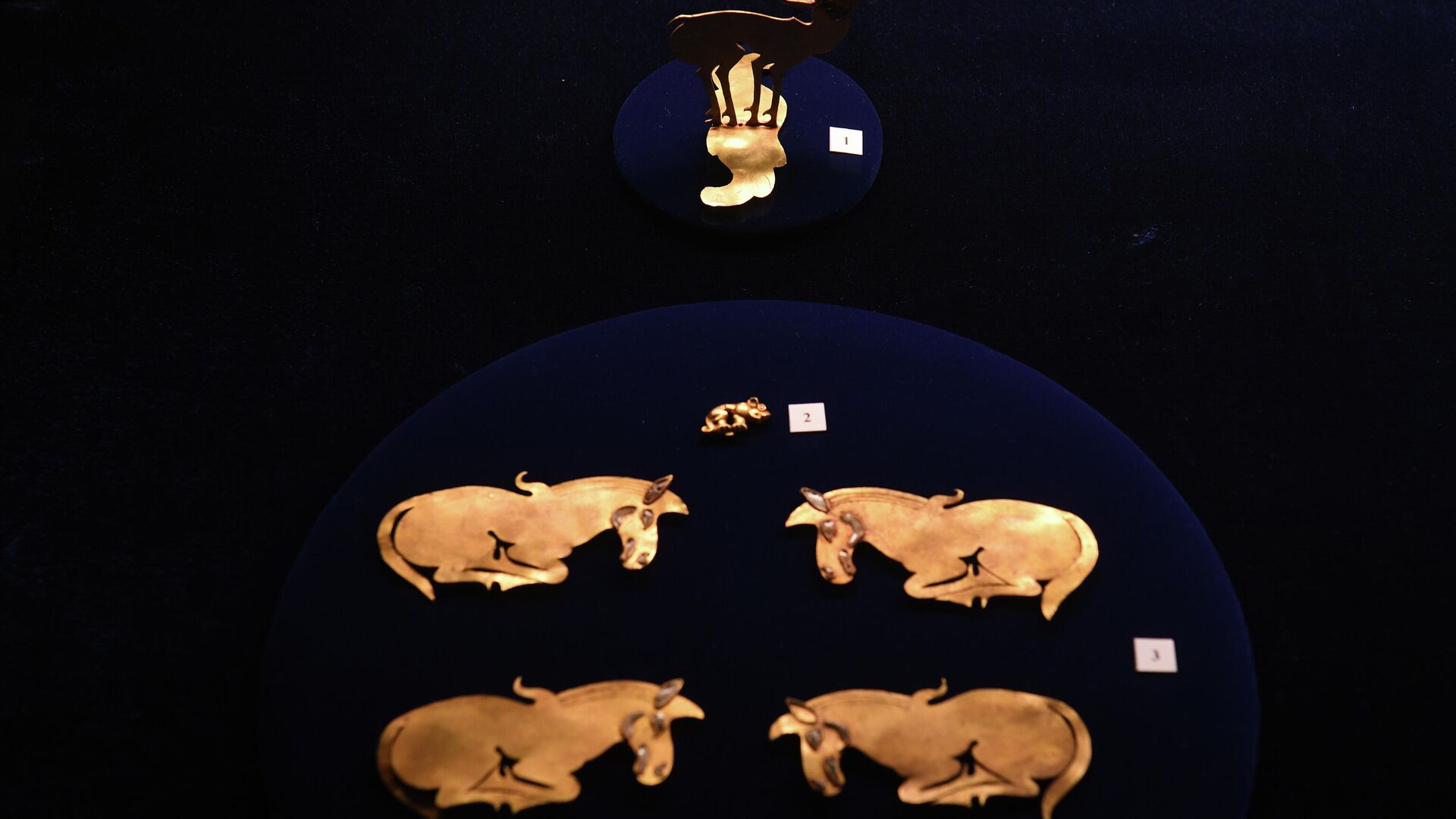 Скифское золото в экспозиции Национального музея имени Алдан-Маадыр - РИА Новости, 1920, 22.11.2023