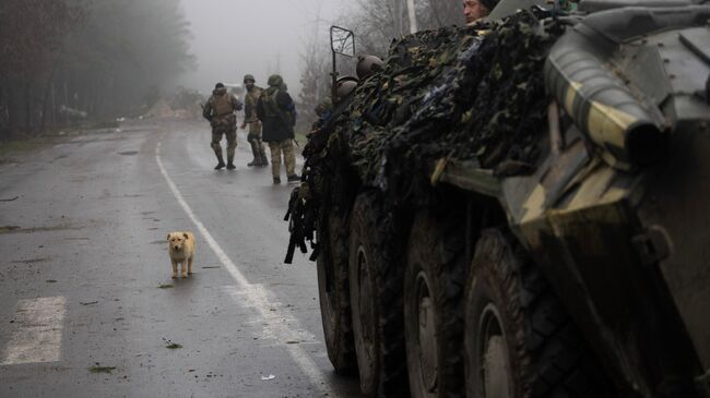 Военнослужащие ВСУ 