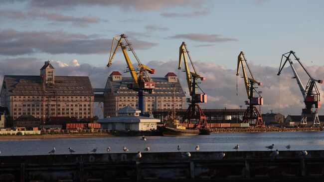 Калининградский морской торговый порт