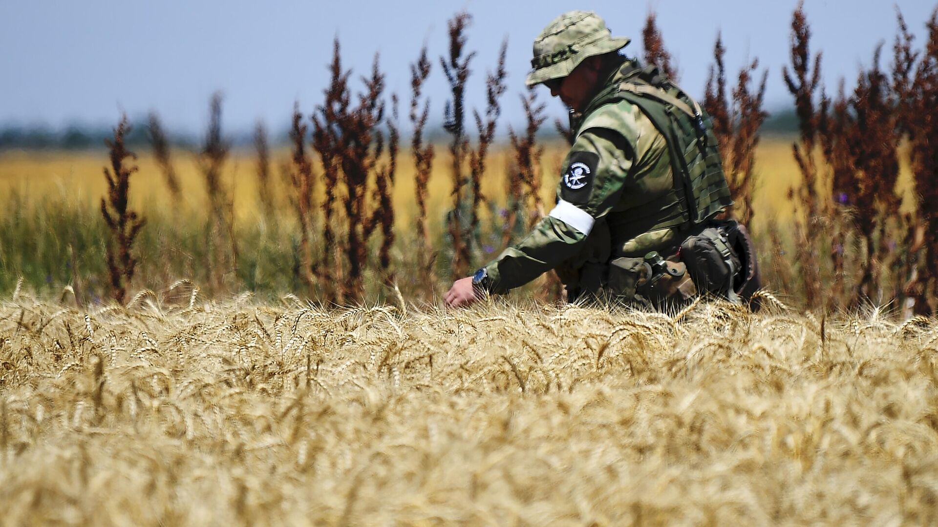 Военнослужащий ВС РФ во время сбора урожая пшеницы в Мелитопольском районе Запорожской области - РИА Новости, 1920, 24.07.2022