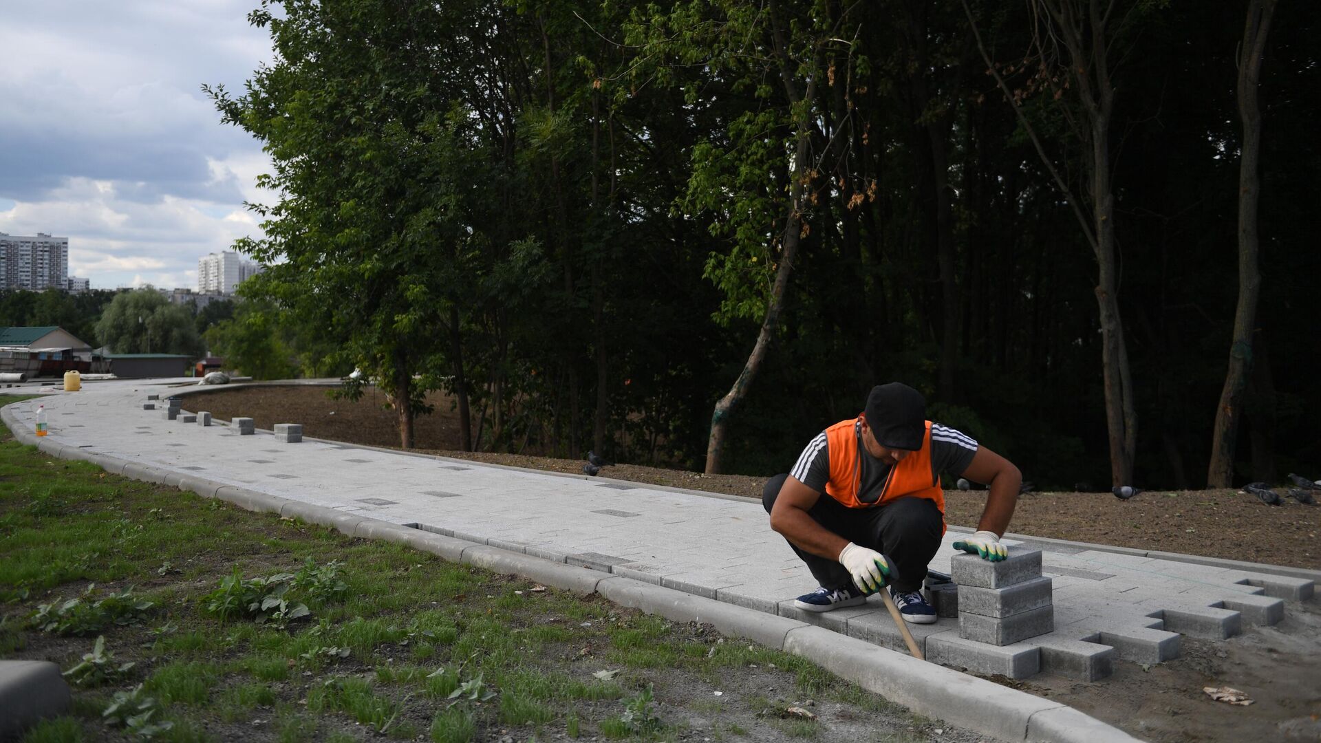 Работы по реабилитации Битцевского леса - РИА Новости, 1920, 31.10.2022