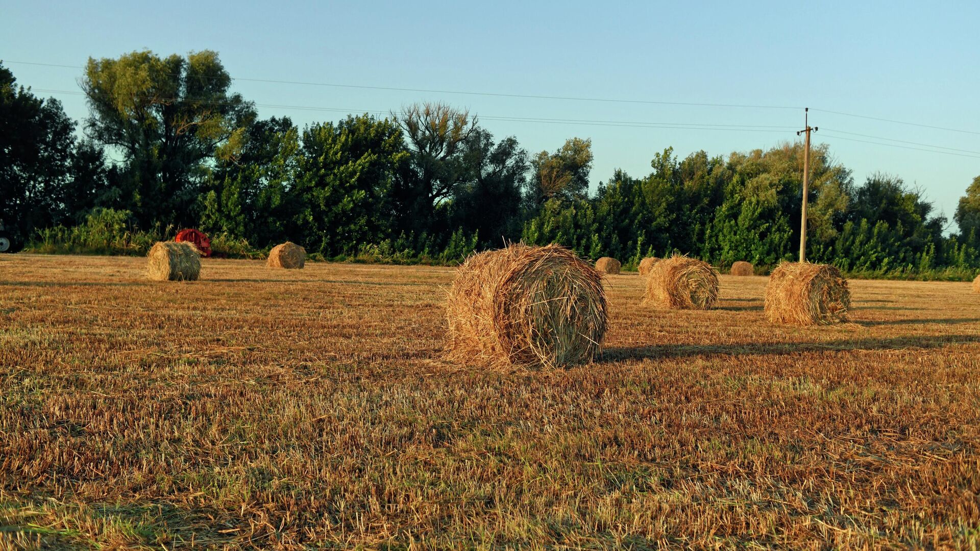 Снопы соломы на поле в Астраханской области - РИА Новости, 1920, 27.10.2022