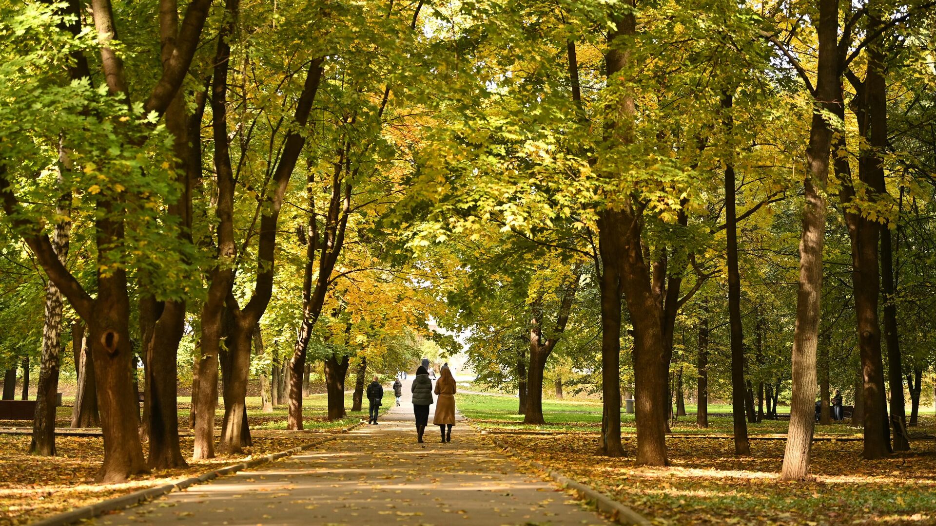 Отдыхающие во время прогулки в парке Красная Пресня в Москве - РИА Новости, 1920, 16.09.2022