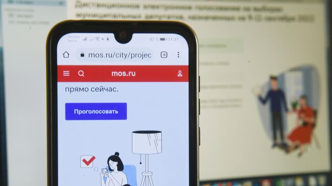 Дистанционное электронное голосование