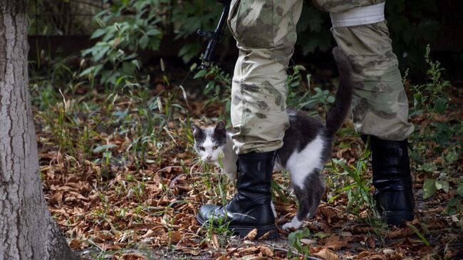 Бездомный кот возле ног солдата ВС РФ на территории Васильевской центральной городской больницы в городе Васильевка Запорожской области