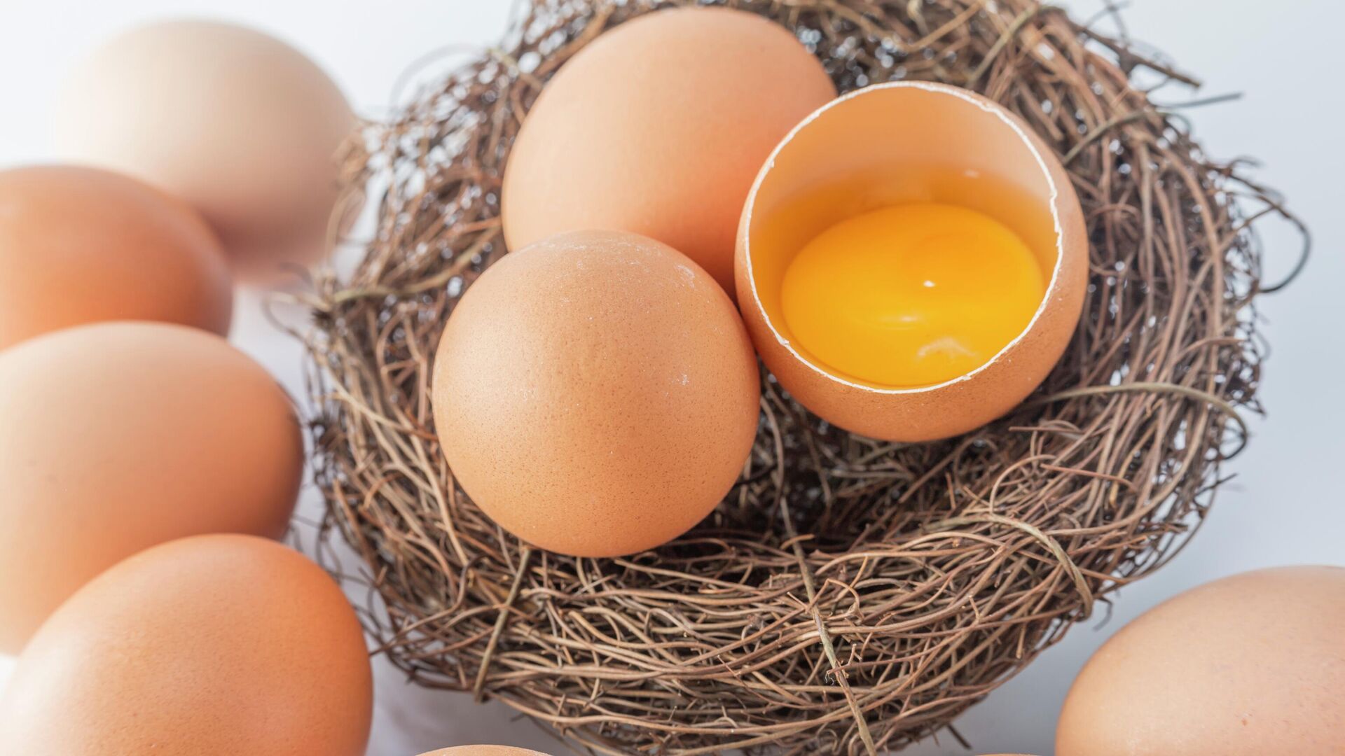 Яйца - РИА Новости, 1920, 09.04.2025