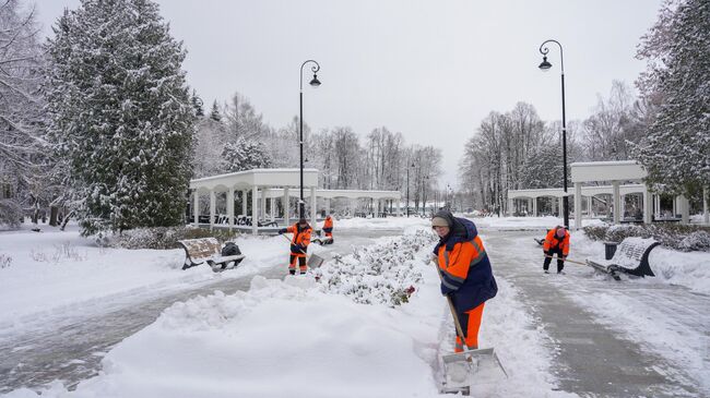 Ликвидация последствий снегопада в Москве