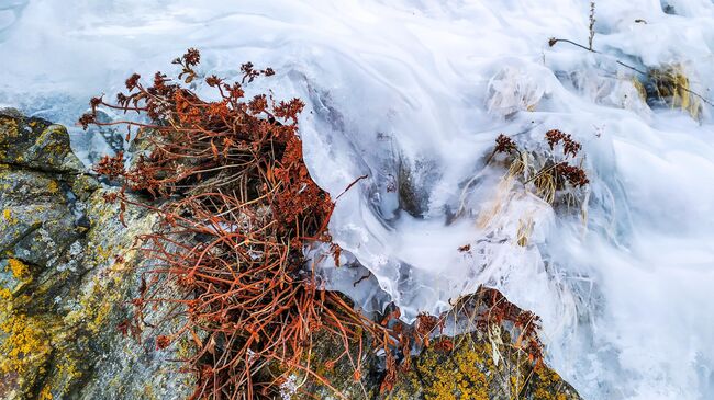 Обледеневший берег на озере Байкал