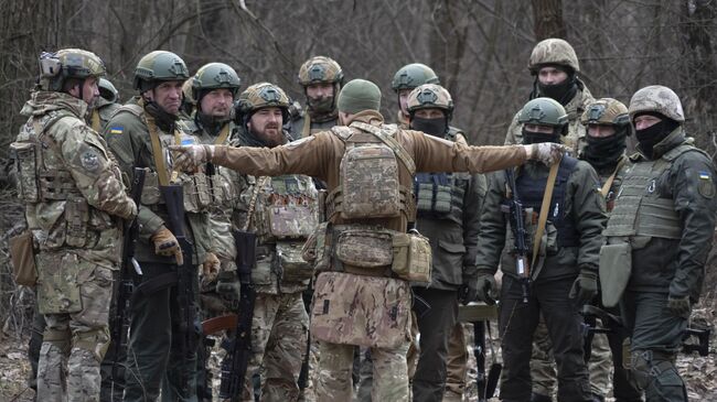 Украинские военные. Архивное фото