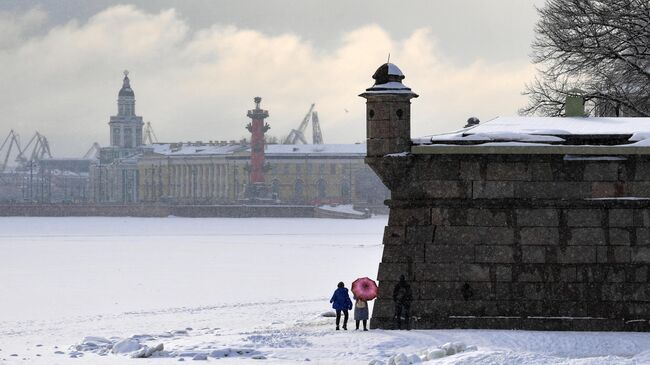 Снегопад в Санкт-Петербурге