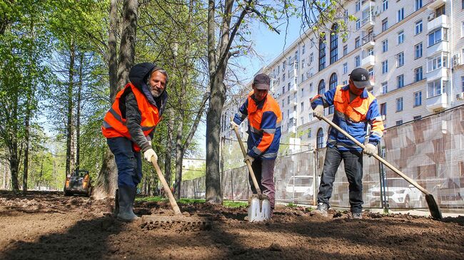 Благоустройство парка