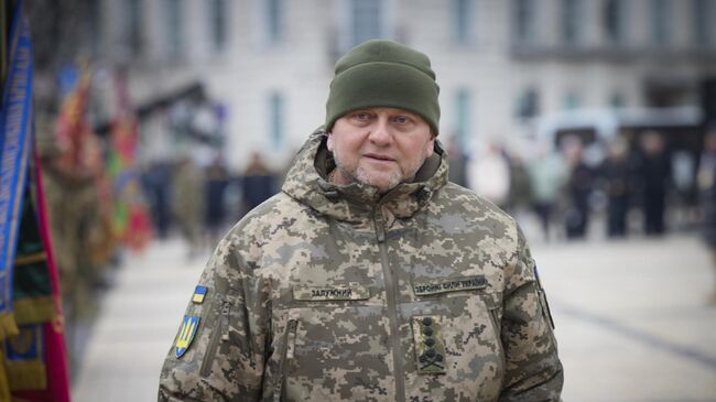 Бывший главнокомандующий ВСУ Валерий Залужный. Архивное фото