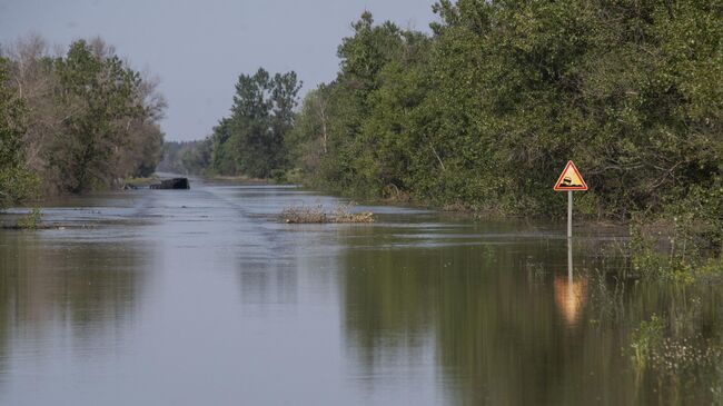 Затопленная дорога в городе Алешки