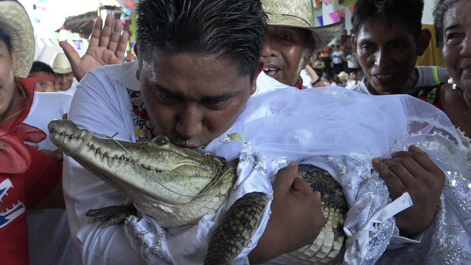 Виктор Хьюго Соса, мэр Сан-Педро-Уамелула, целует очкового каймана (Caiman crocodilus) по имени La Niсa Princesa (Девушка-принцесса) перед тем, как жениться на ней - РИА Новости, 1920, 02.07.2023