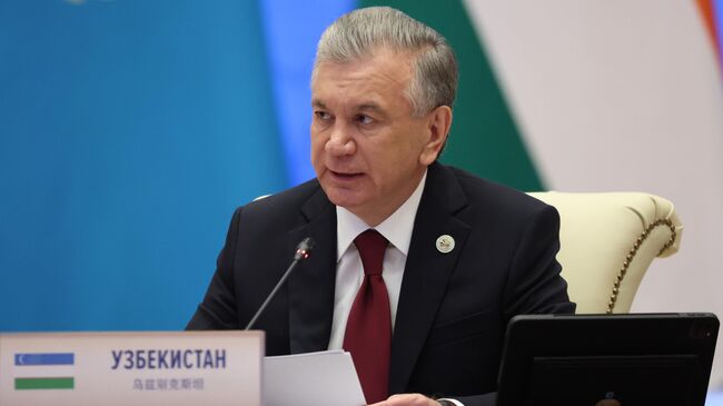 Президент Узбекистана Шавкат Мирзиеев. Архивное фото